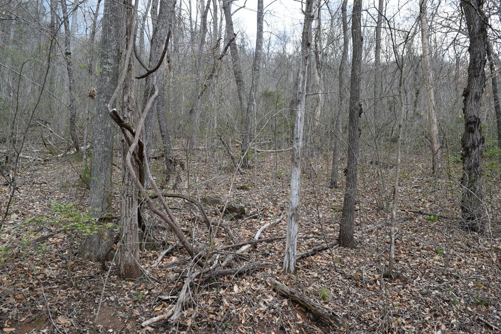 Land in Cullowhee 3