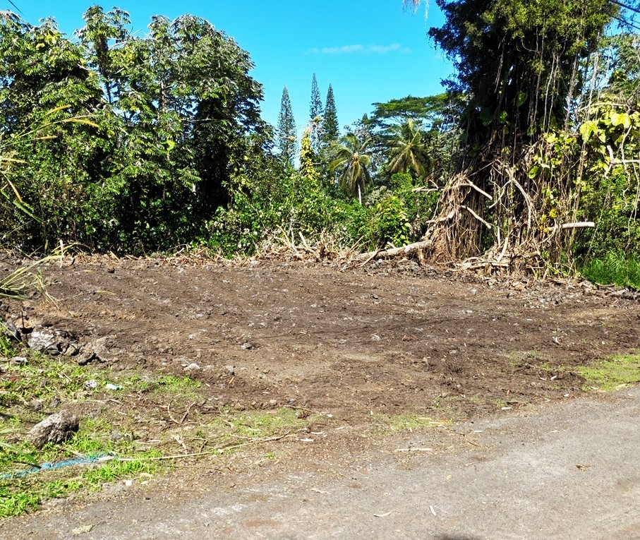 Land in Pahoa