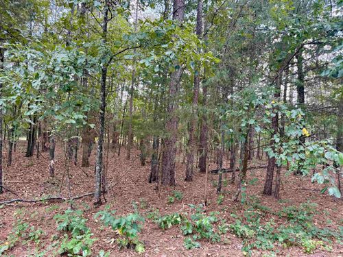 Lot 5 &amp; 6 Ellen, Higden, AR, 72067 | Card Image