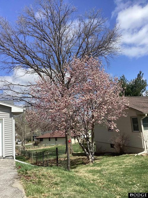 1452 Wilbur St, Blair, NE, 68008-2241 | Card Image