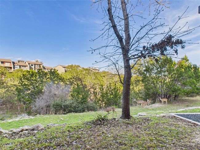 View of yard out back. | Image 25
