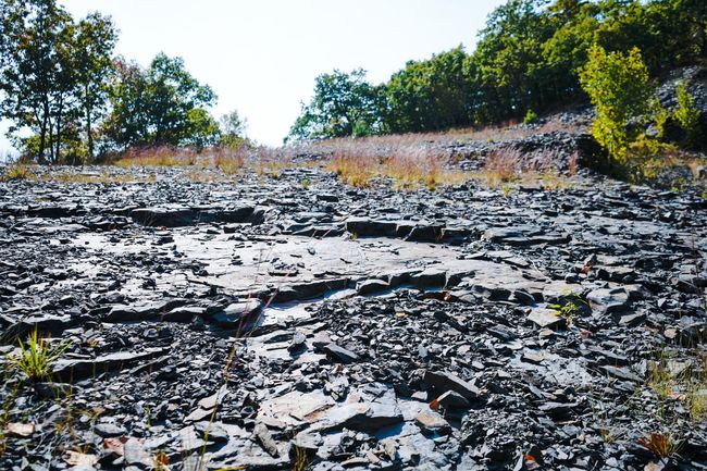 Prismatic Shale | Image 8