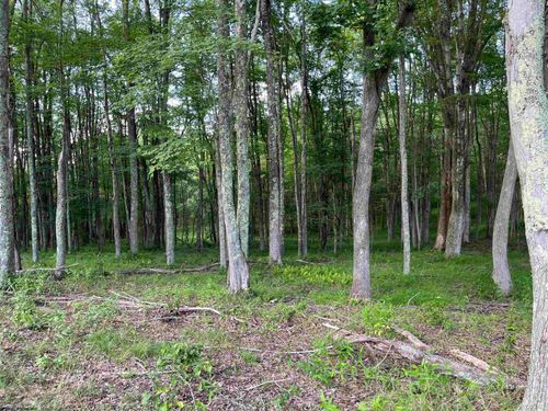 0 Sago Rd, French Creek, WV, 26218 | Card Image