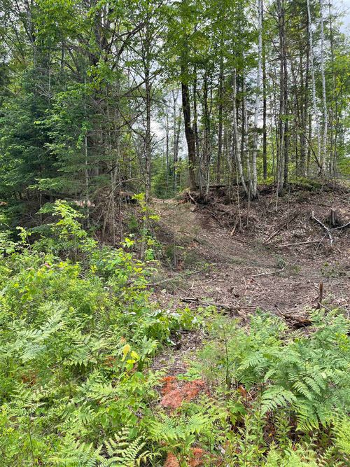 00 Route 102, Guildhall, VT, 05905 | Card Image