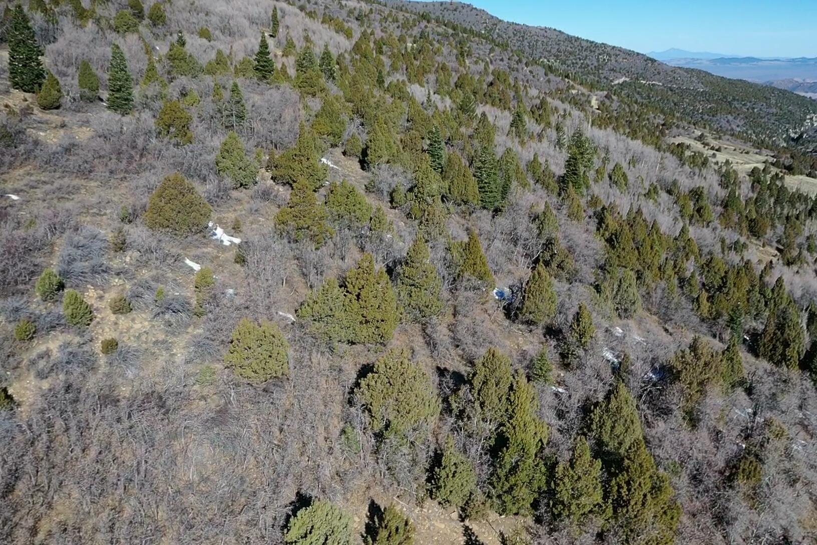 Land in Summit 5