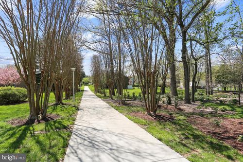 4-901-15100 Interlachen Dr, SILVER SPRING, MD, 20906-5611 | Card Image