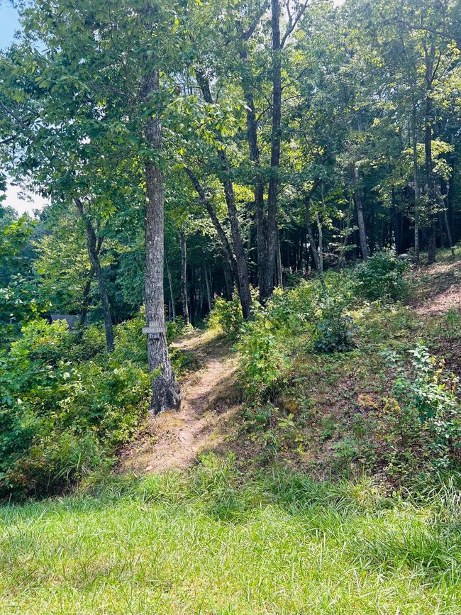 0 Still Creek Rd, Home with 0 bedrooms, 0 bathrooms and null parking in Rising Fawn GA | Image 6