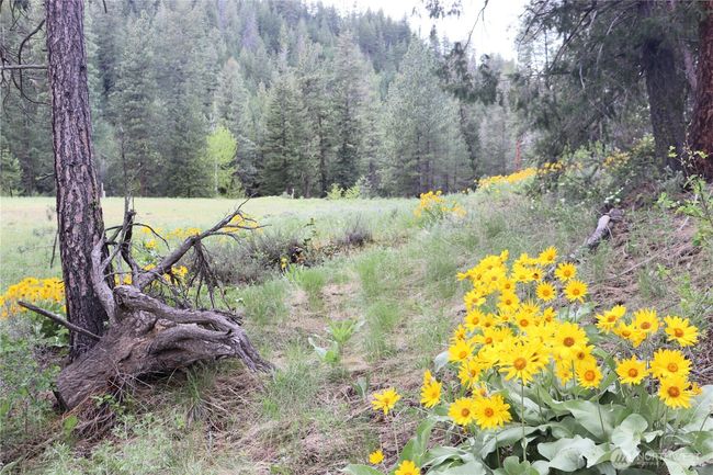 799 Twisp River Rd, Home with 0 bedrooms, 0 bathrooms and null parking in Twisp WA | Image 19