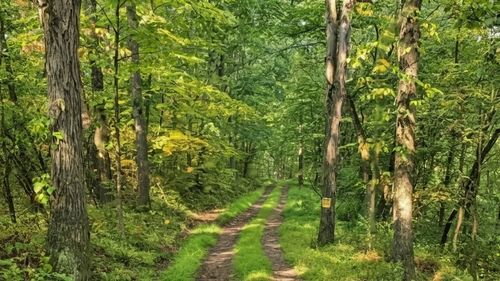 2210 Ramer Rd, Shelocta, PA, 15774 | Card Image