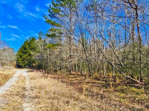 TBD Veal St W, Chester, TX, 75936 | Card Image