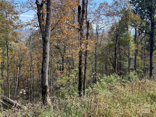 27 Trillium Ln, Mars Hill, NC, 28754-5922 | Card Image