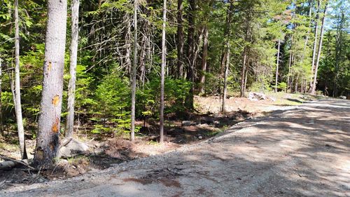 Lot 2 Nh Route 4a, Grafton, NH, 03240 | Card Image