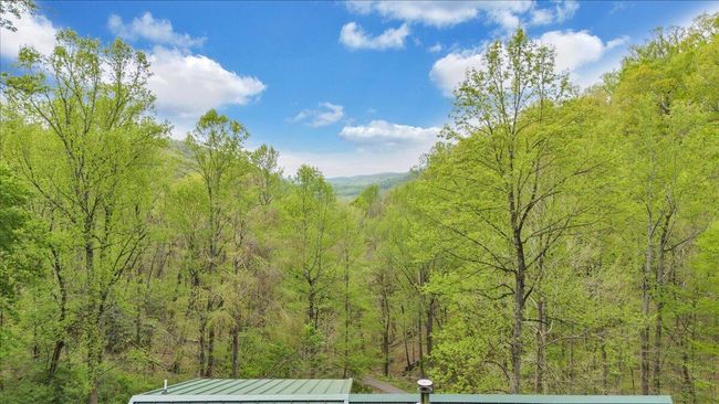 04-DJI_20250422114213_0022_D | Image 52