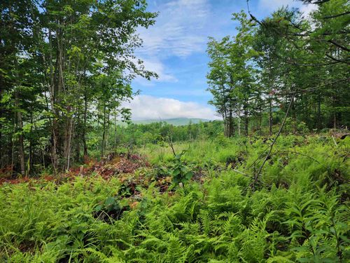 Lot 15 Ginnie Lane, Errol, NH, 03579 | Card Image