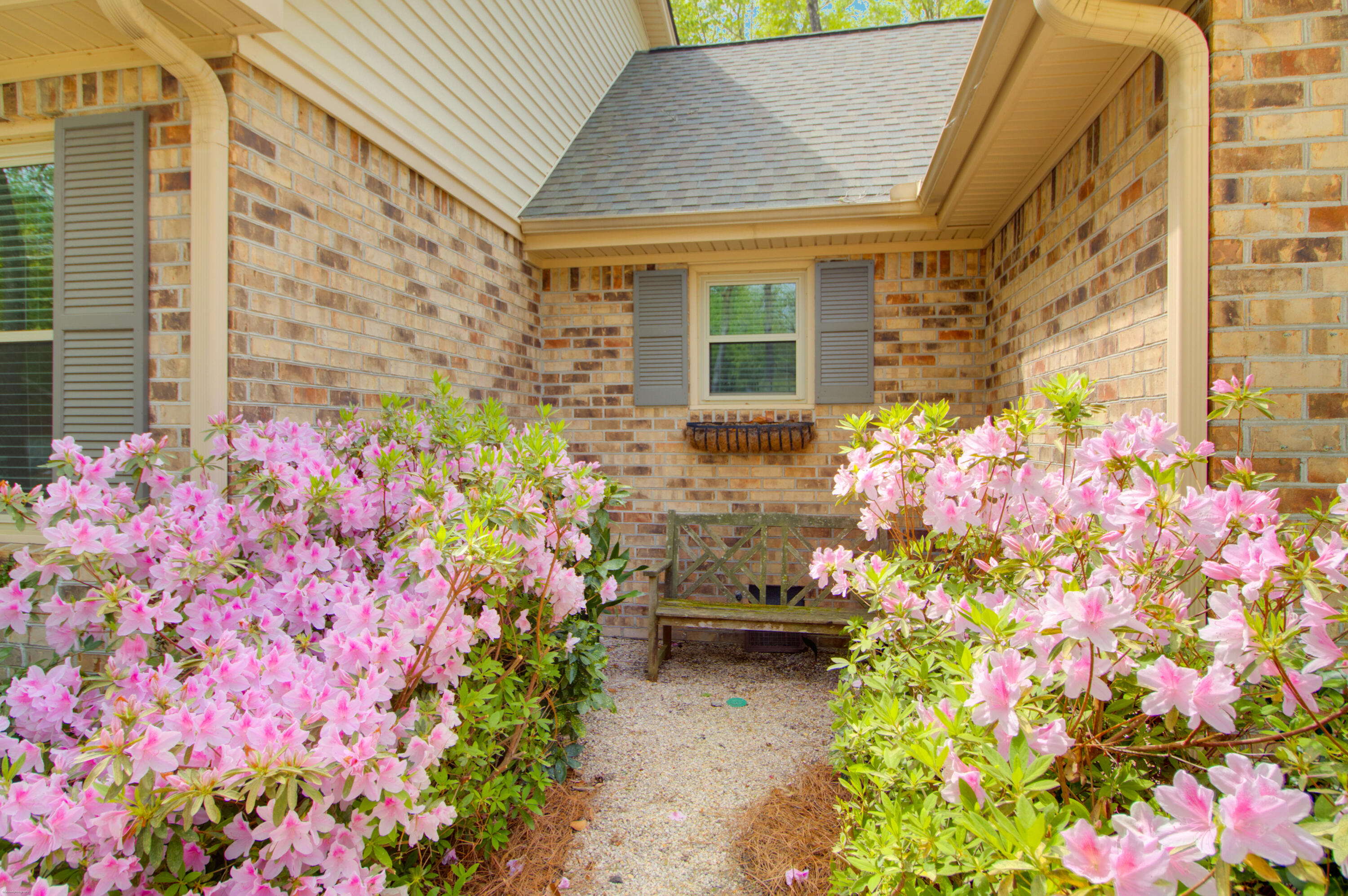 Residential in Summerville 2