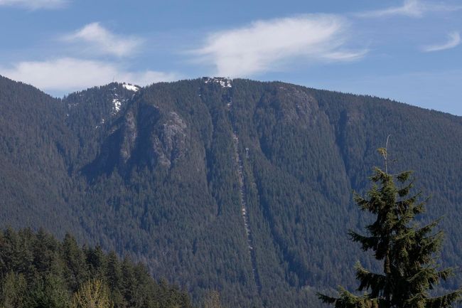 Mountain view with a view of trees | Image 20