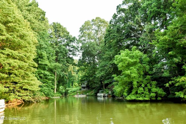 Glen Artney lake backyard | Image 48