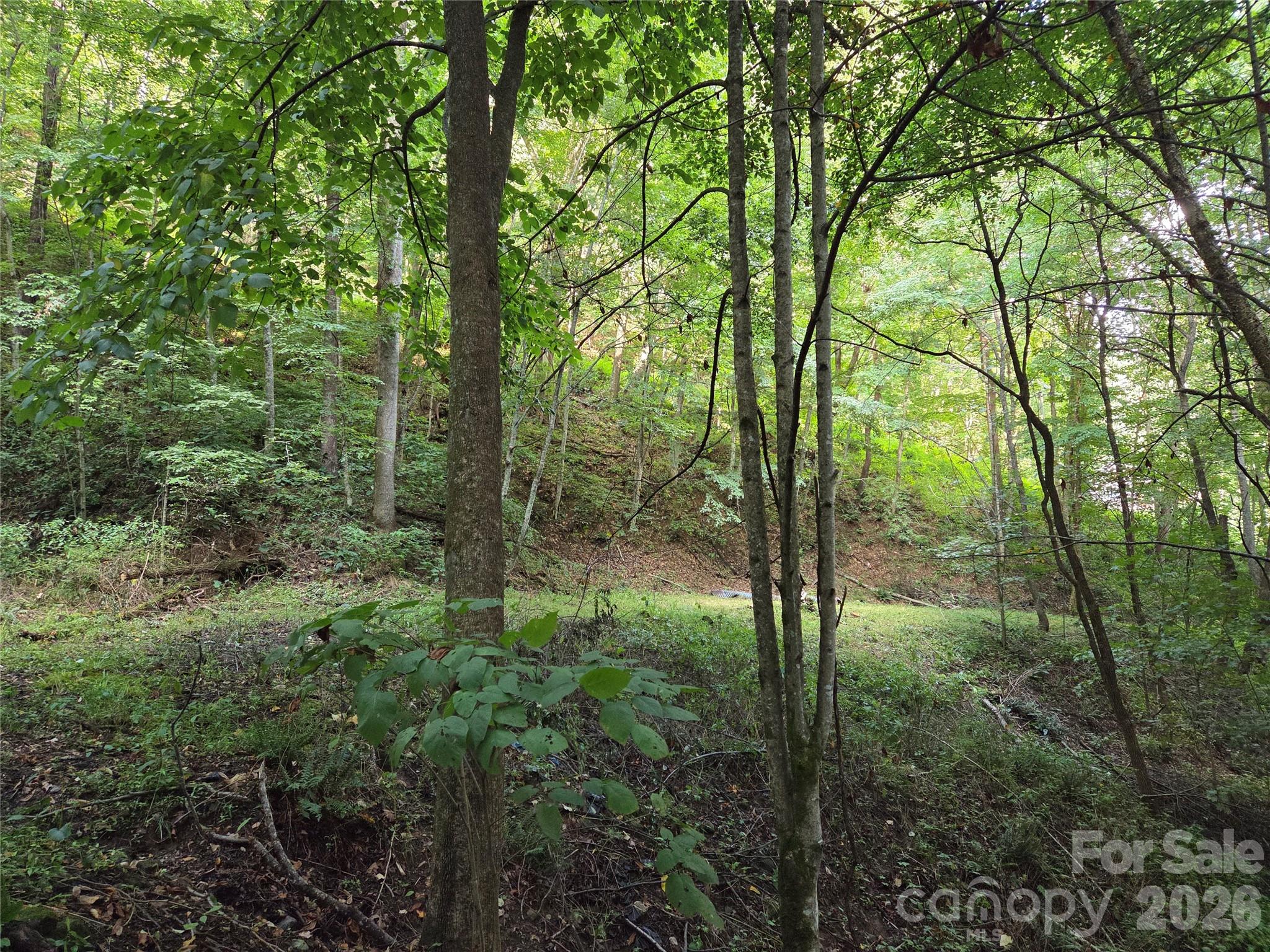 Land in Maggie Valley 5