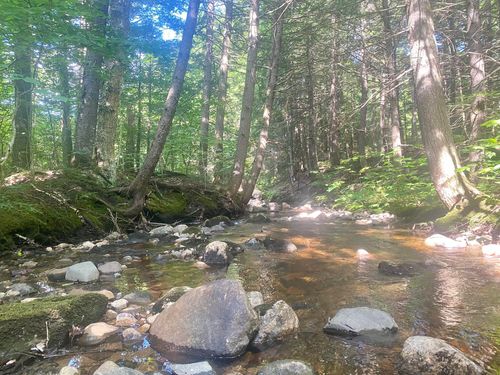 246 Willis Bean Road, Eaton, NH, 03832 | Card Image