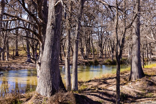 2350 Little Dry Frio Rd, Home with 0 bedrooms, 0 bathrooms and null parking in Rio Frio TX | Image 5