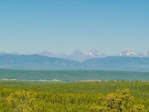 NHN Mountain Meadow Ct, Kalispell, MT, 59901 | Card Image