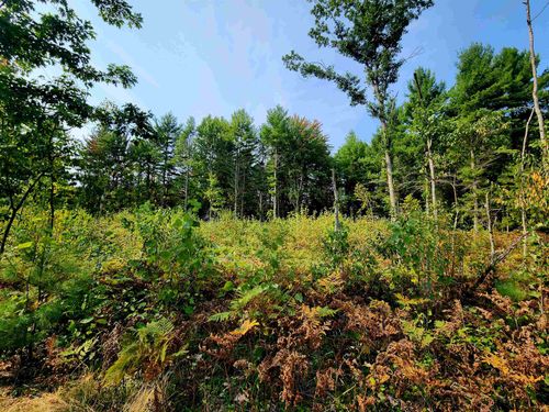 39.20 Acres Lindroos Road, Norman Township, MI, 49645 | Card Image