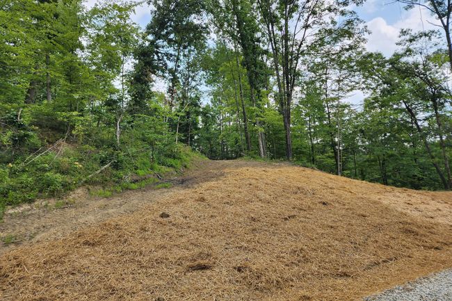 TRACT-3 - 0 Back Run Rd, Home with 0 bedrooms, 0 bathrooms and null parking in Philo OH | Image 46