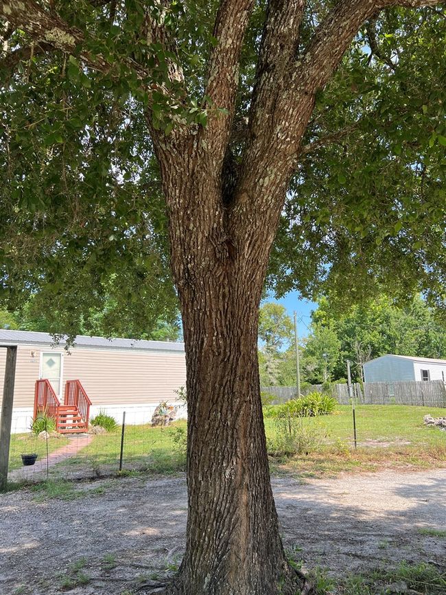 5871 Sw 104 Th Ct, House other with 3 bedrooms, 2 bathrooms and null parking in Cedar Key FL | Image 37
