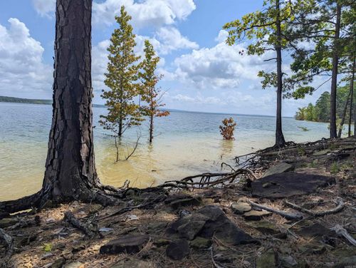 Lot 129 Diamond Bluff Rd, Quitman, AR, 72131-9873 | Card Image