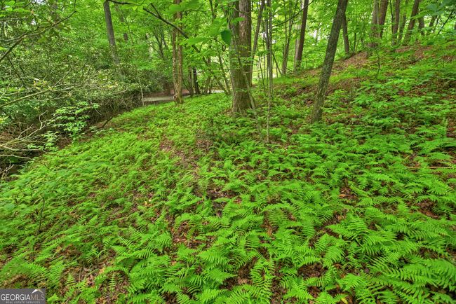LOT 68 Toccoa Taquohee Trl, Home with 0 bedrooms, 0 bathrooms and null parking in Blue Ridge GA | Image 26