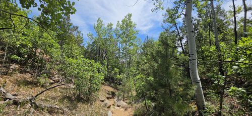 TBD L Bird Point Dr, Cotopaxi, CO, 81223 | Card Image