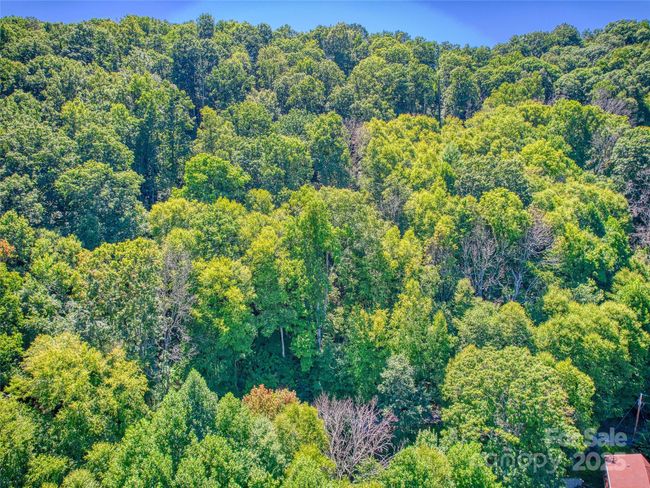 00 Yellow Locust Dr, Home with 0 bedrooms, 0 bathrooms and null parking in Waynesville NC | Image 14