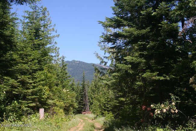18 Majestic Mountain Rd, Home with 0 bedrooms, 0 bathrooms and null parking in Clark Fork ID | Image 18