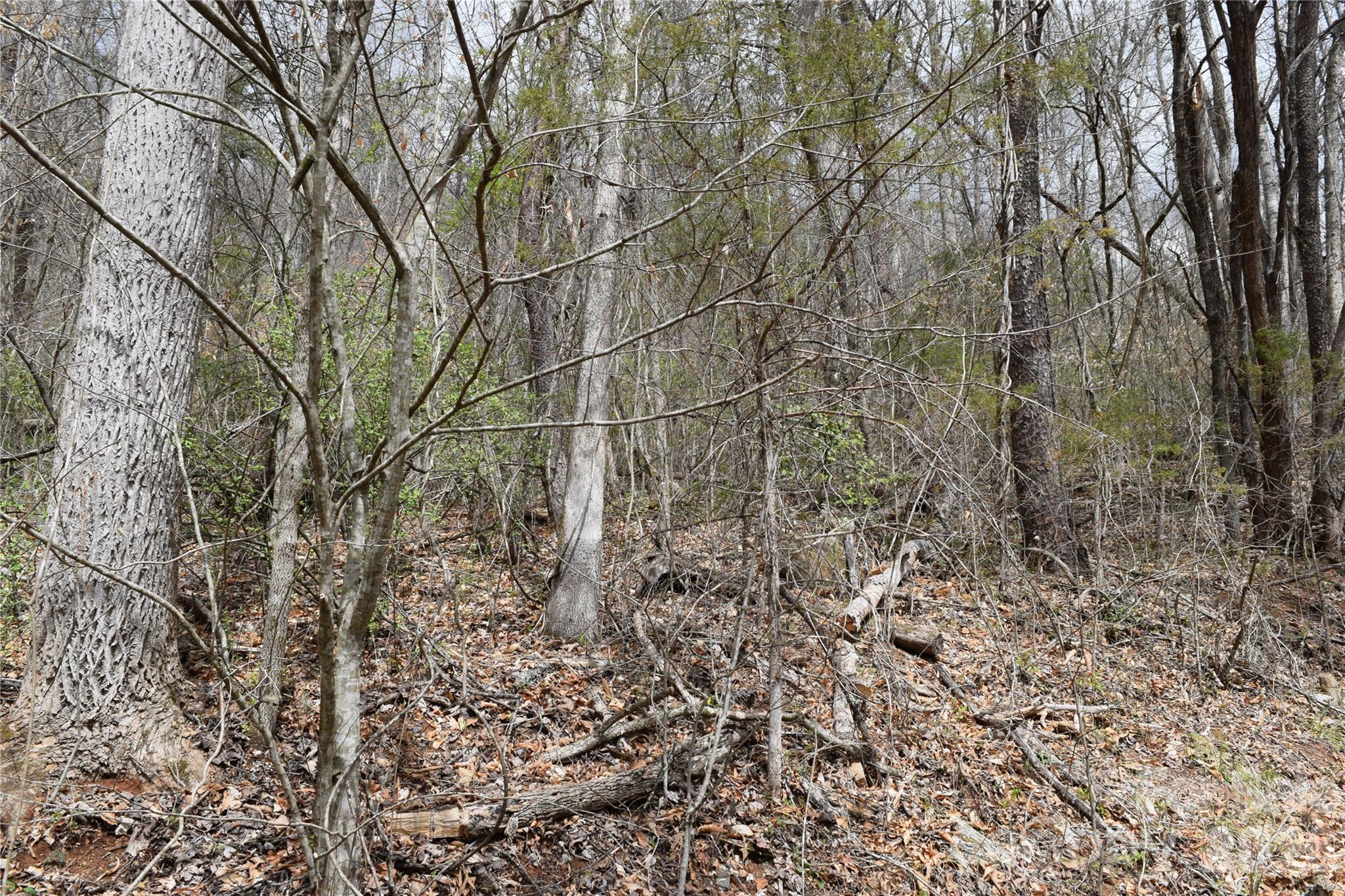 Land in Cullowhee 4