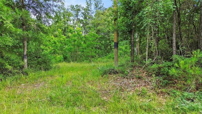 413 N Settlers Way, Home with 0 bedrooms, 0 bathrooms and null parking in Trinity TX | Image 7