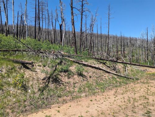 839 Slaoui Pl, Fort Garland, CO, 81133 | Card Image