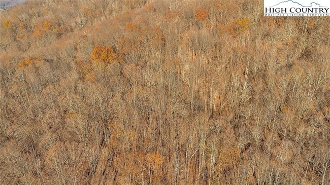 The beauty of undeveloped property and amazing privacy from your aerial view | Image 6