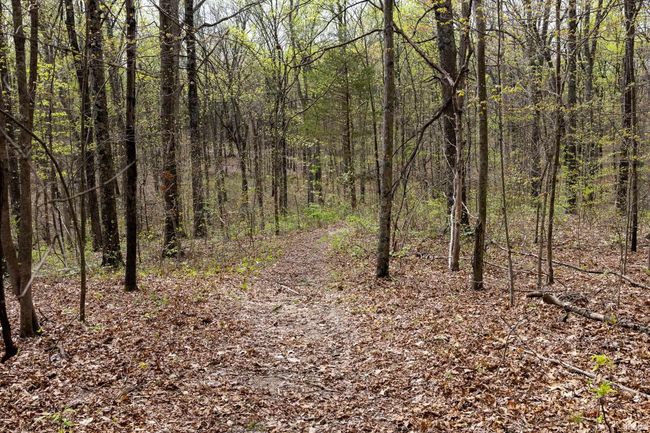 12.6 Acres Deer Lake Drive, Home with 0 bedrooms, 0 bathrooms and null parking in Bloomfield IN | Image 6