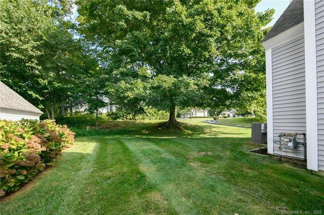 Nice yard | Image 5
