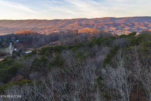 1655 Lester Whitt Rd, Rutledge, TN, 37861 | Card Image