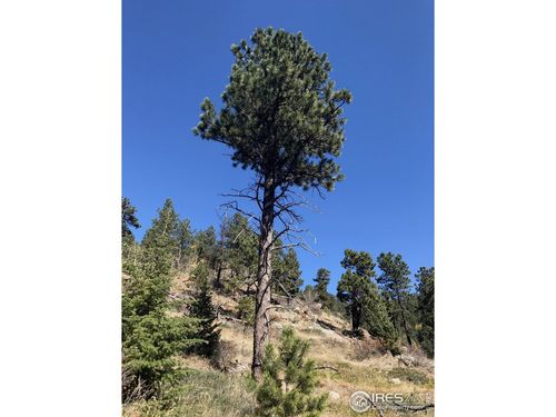 0 Good Friday Rd, Boulder, CO, 80302 | Card Image