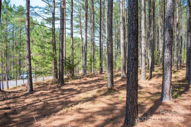 69 - 144 Whispering Pines Ln, Home with 0 bedrooms, 0 bathrooms and null parking in Mooresboro NC | Image 5
