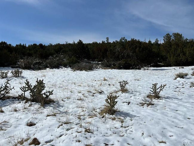28 Turkey Ridge Rd, Home with 0 bedrooms, 0 bathrooms and null parking in Walsenburg CO | Image 35