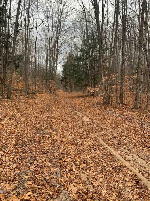 Near Stark Road, Chestonia Township, MI, 49659 | Card Image