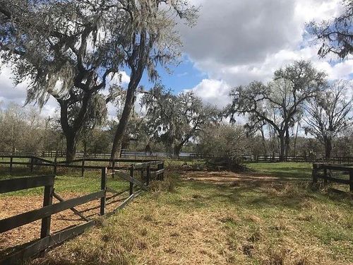 000 Palomino Lakes Dr, DADE CITY, FL, 33523 | Card Image