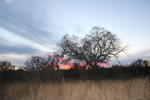 830 Cr 339, Jourdanton, TX, 78026 | Card Image