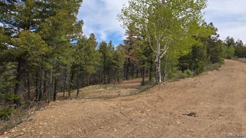 Lot 5825 Covington Rd, Fort Garland, CO, 81133 | Card Image