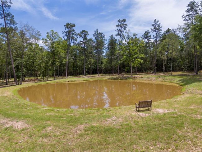110 Coyote Run, Home with 0 bedrooms, 0 bathrooms and null parking in New Waverly TX | Image 7