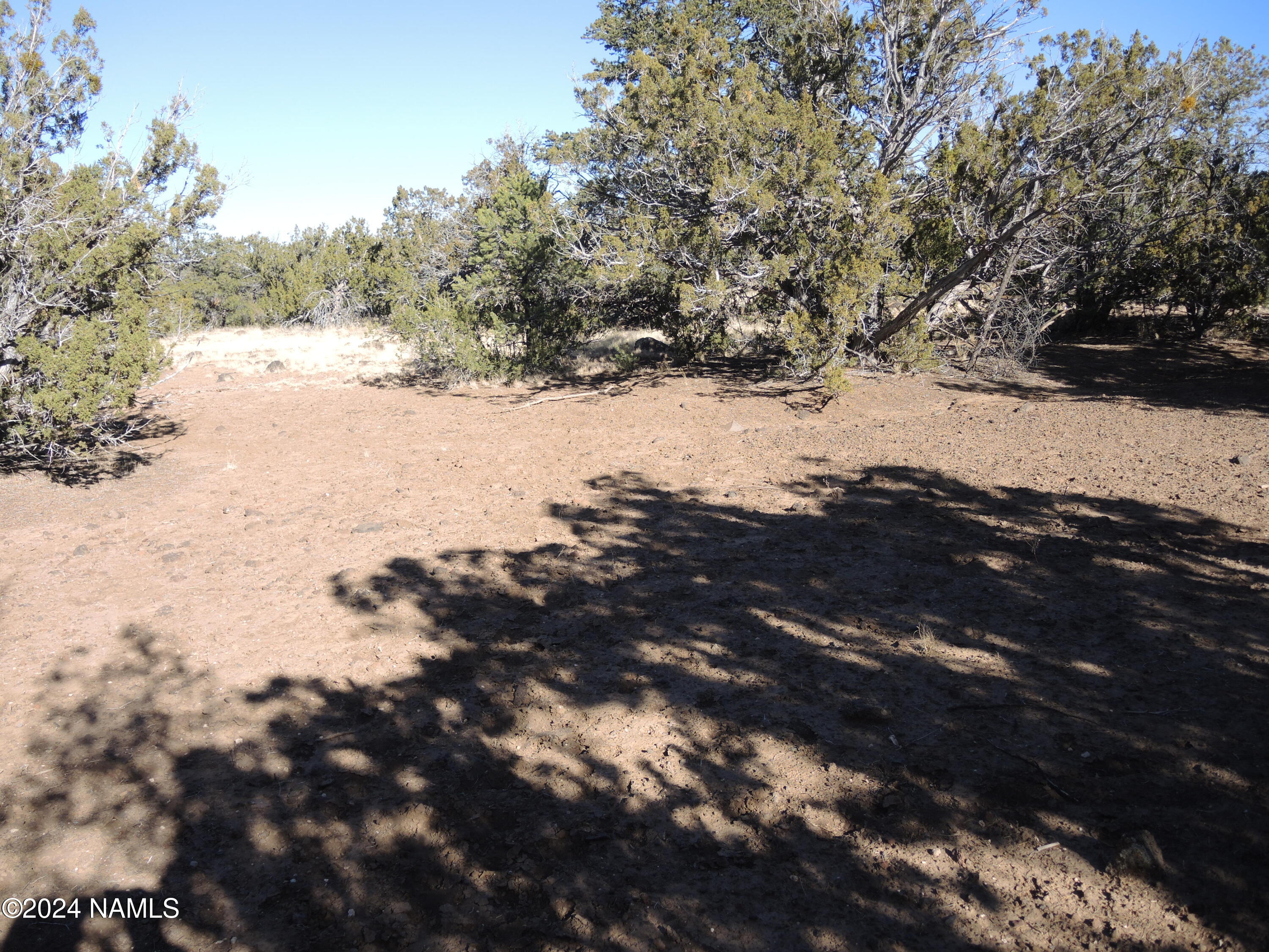 Land in Williams 4