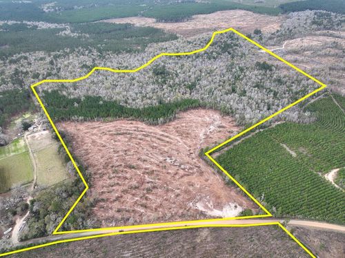 T-3 County Road 4590, Spurger, TX, 77660 | Card Image